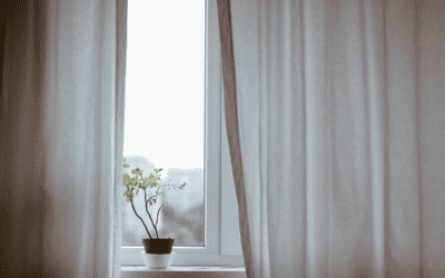 Winter Window Maintenance