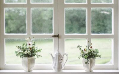 A Guide To Energy-Efficient Windows