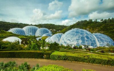 Most Famous Conservatories in the World