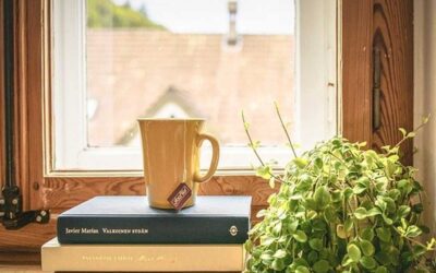 Window Sill Decor Ideas