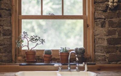 When To Replace Your Wooden Windows