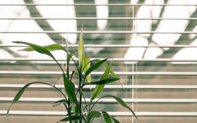 Conservatory Blinds for Summer
