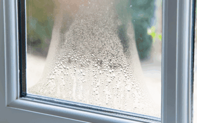 Window Repair vs Replace